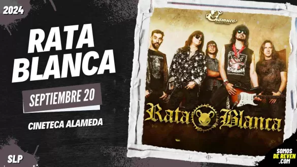 RATA BLANCA EN SAN LUIS POTOSÍ 2024