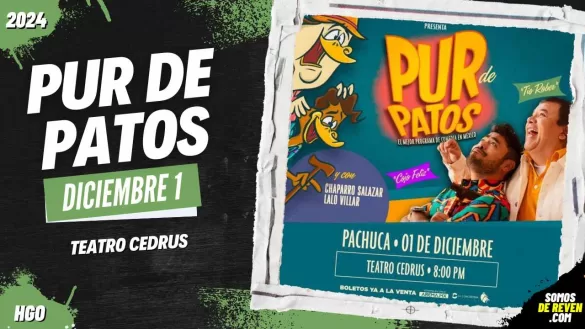 PUR DE PATOS EN PACHUCA 2024